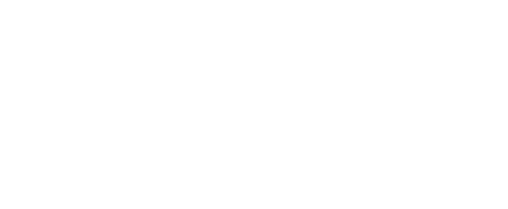 Logo neuralia blanc