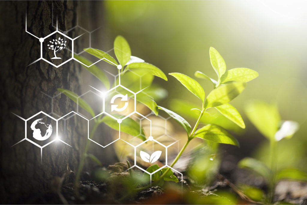 Image plante + science